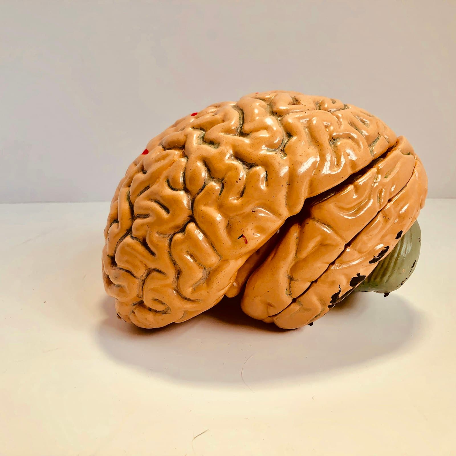 Neurology